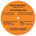 Morning Kids - In A Golden Haze (12") (New Vinyl)