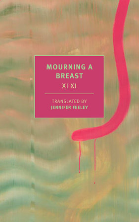 Mourning a Breast (New Book)