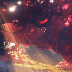 Murcof - Twin Color (New Vinyl)