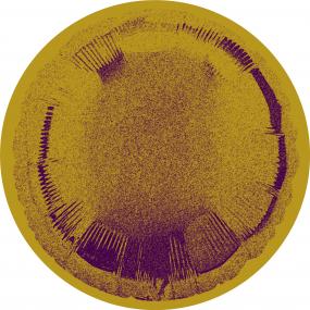 Mutual Attraction & Private Press - Ziemia 003 (12") (New Vinyl)