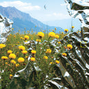 N Kramer and Magnus Bang Olsen - Pastoral Blend (New Vinyl)