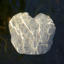 N NAO - L'eau Et Les Reves (New Vinyl)