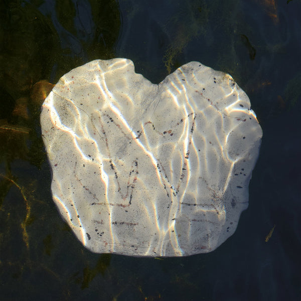 N NAO - L'eau Et Les Reves (New Vinyl)