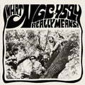 NGC-4594 - What NGC 4594 Really Means! (New Vinyl)