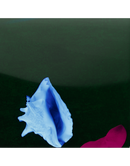 New Order - Touched By The Hand of God (Remastered 12") (New Vinyl)