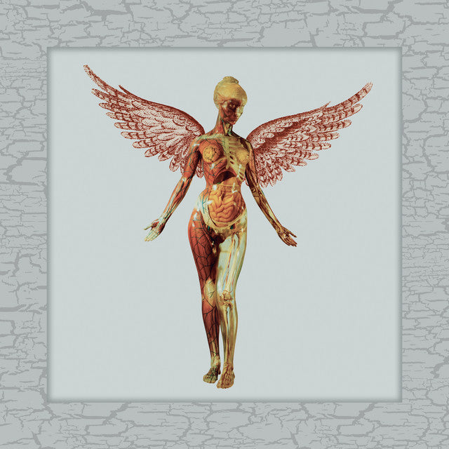 Nirvana - In Utero (30th Ann./8LP/Super Deluxe) (New Vinyl)