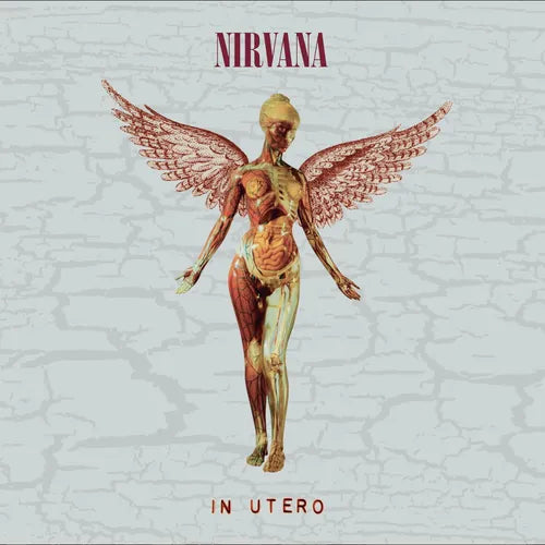 Nirvana - In Utero (30th Anniversary 2CD Deluxe Edition) (New CD)