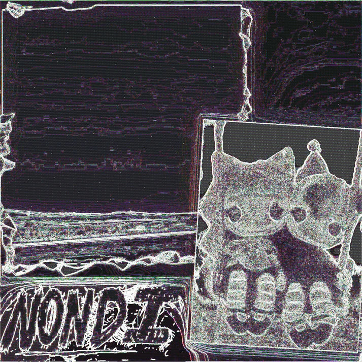 Nondi_ - Nondi... (New Vinyl)
