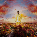 Nonso Amadi - When It Blooms (New Vinyl)