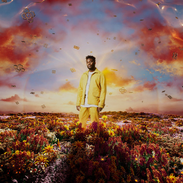 Nonso Amadi - When It Blooms (New Vinyl)