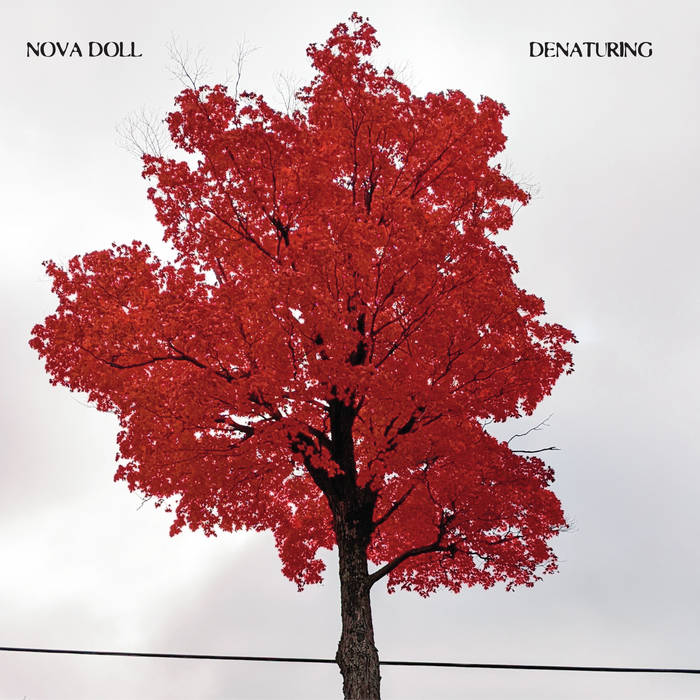 Nova Doll - Denaturing (New Vinyl)