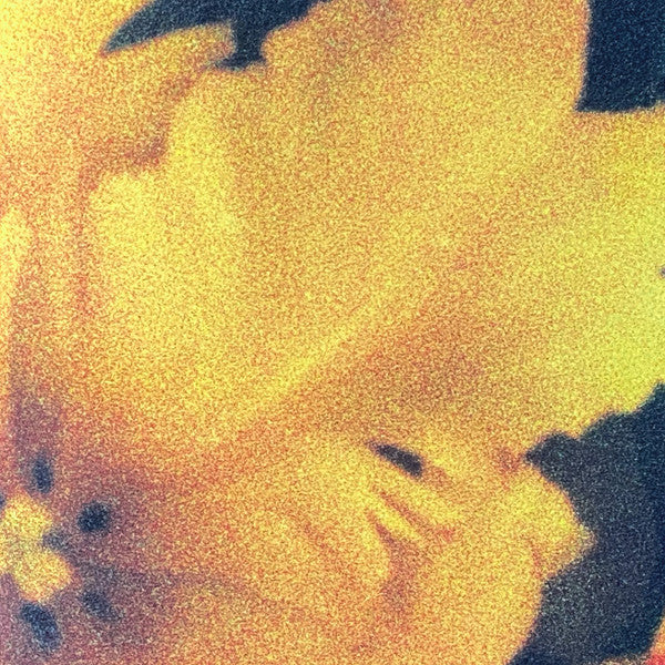 Nthng - Last Light Of The Sun (New Vinyl)