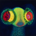 OSees - Sorcs 80 (New CD)