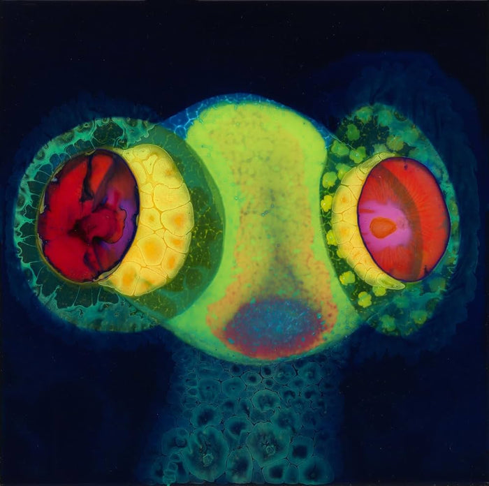 OSees - Sorcs 80 (Colour Vinyl) (New Vinyl)