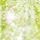 Ocean Moon - Ways To The Deep Meadow (New Vinyl)