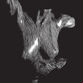 Oceansize - Self Preserved While The Bodies Float Up ( 15th Anniversary 3LP ) (New Vinyl)