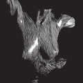 Oceansize - Self Preserved While The Bodies Float Up (New CD)
