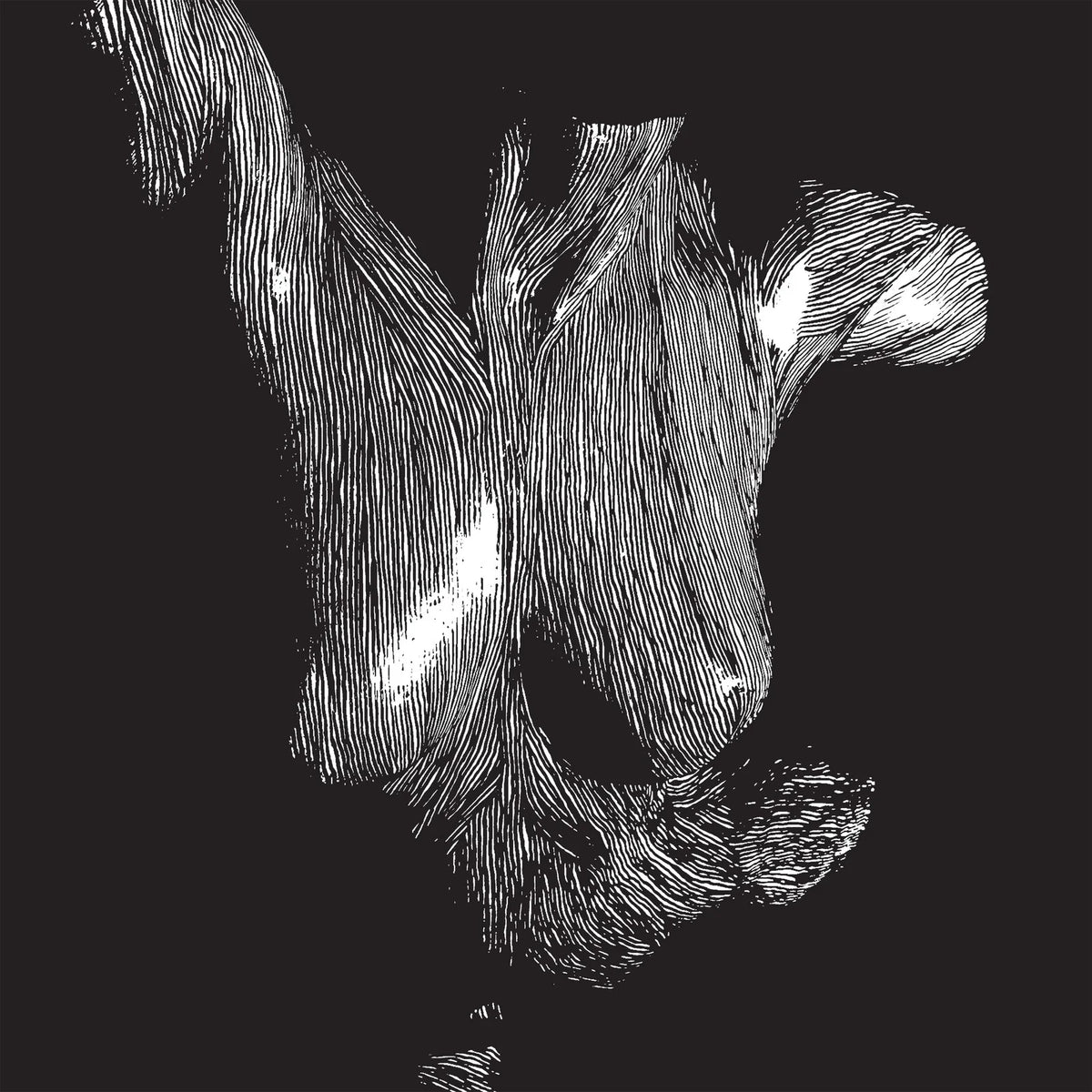 Oceansize - Self Preserved While The Bodies Float Up (New CD)