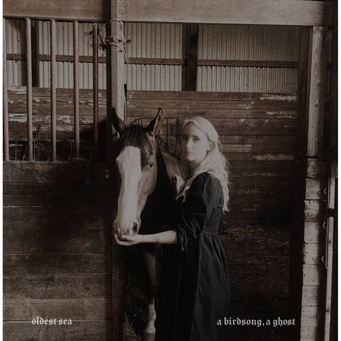 Oldest Sea – A Birdsong, A Ghost (New Vinyl)