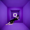 Olivia Jean - Raving Ghost (New CD)