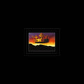 Olivia Tremor Control - Explanations II: Instrumental Themes And Dream Sequences (New Vinyl)