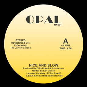 Opal - Nice and Slow 12'' (New Vinyl)