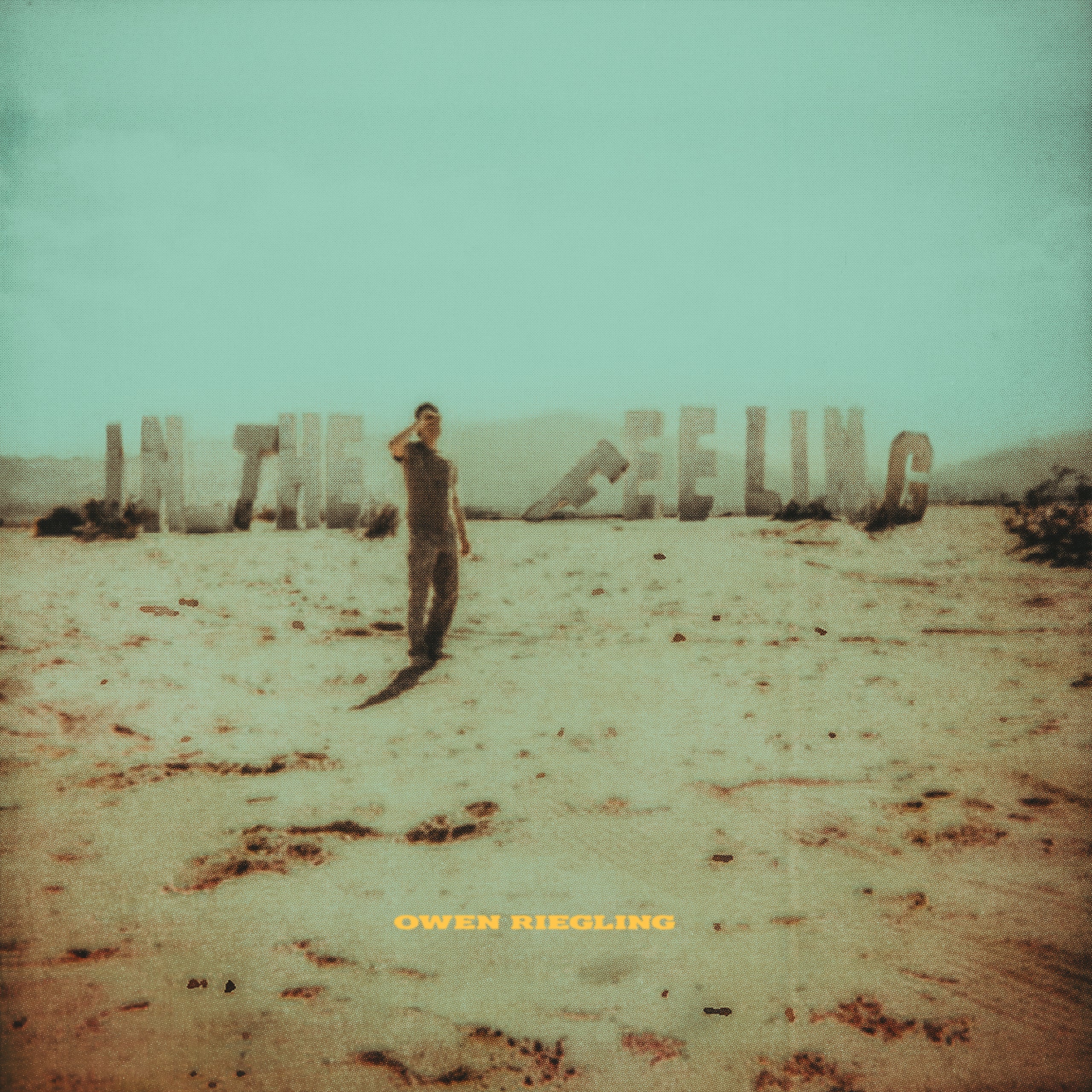 Owen Riegling - In The Feeling (New CD)