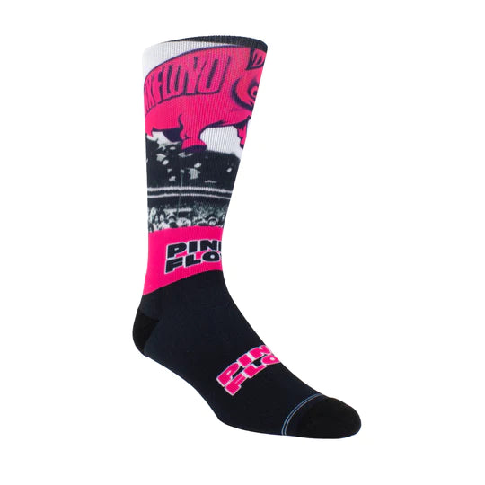 Perri Socks - PINK FLOYD PIGS Socks - One Size