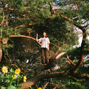 Packs - Melt The Honey (New CD)