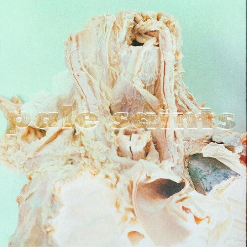 Pale Saints - In Ribbons (30th Anniversary Remasters) (New Vinyl)