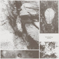 Park Jiha - All Living Things (New Vinyl)