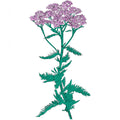 Patricia Wolf - Music To Watch Seeds Grow By 009: Patricia Wolf (Yarrow) (New Cassette)
