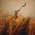 Patrick Wolf - Crying The Neck (2LP) (New Vinyl)