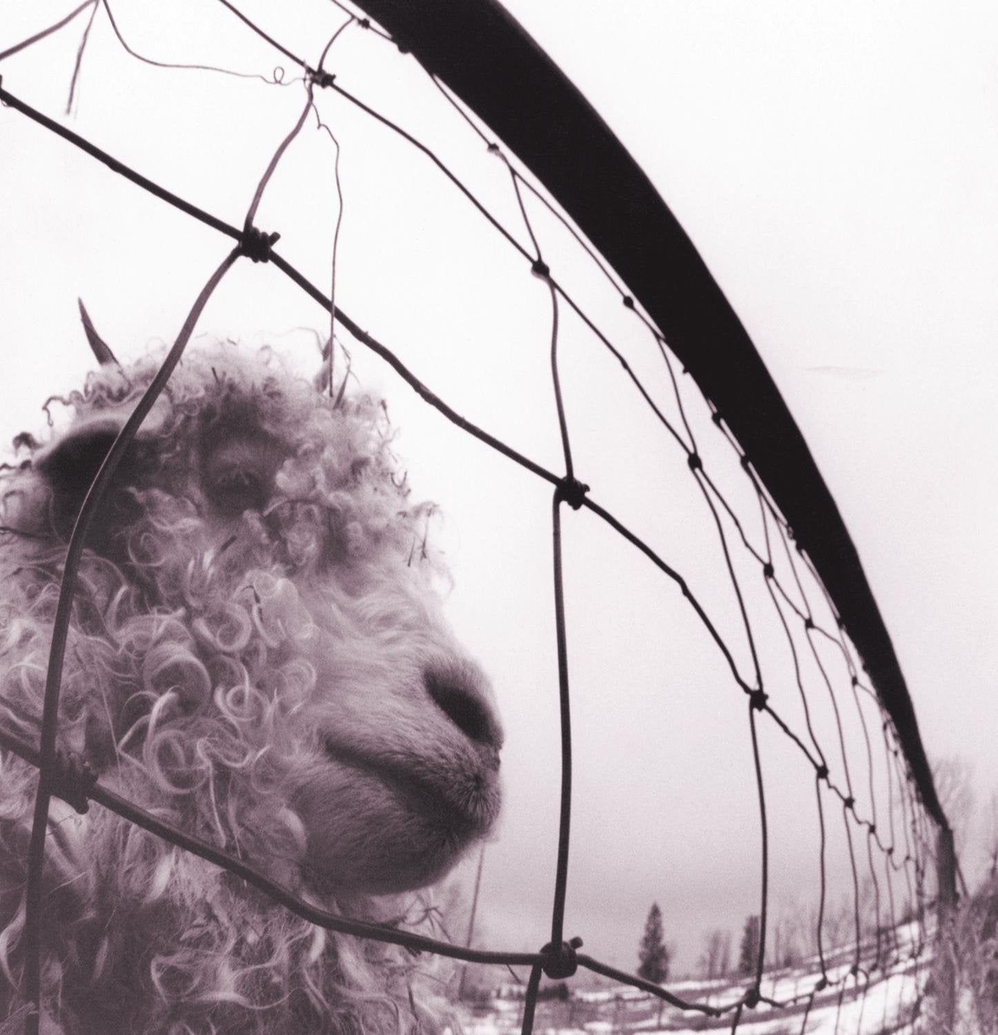 Pearl Jam - Vs. (30th Anniversary 2LP) (New Vinyl)