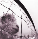 Pearl Jam - Vs. (30th Anniversary 2LP) (New Vinyl)