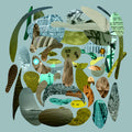 Pedro the Lion - Santa Cruz (Green Vinyl) (New Vinyl)