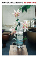 Perfection (New Book)