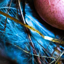 Piers Oolvai - Solace Shards (New CD)