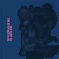 Pino Palladino & Blake Mills - That Wasn't A Dream (New Vinyl)