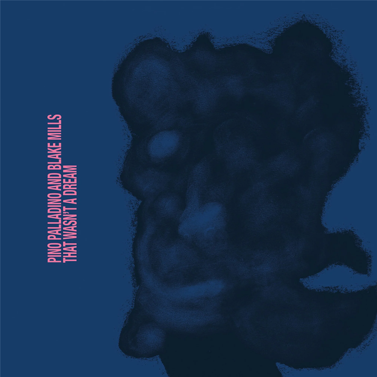 Pino Palladino & Blake Mills - That Wasn't A Dream (New Vinyl)