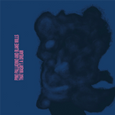 Pino Palladino & Blake Mills - That Wasn't A Dream (New Vinyl)