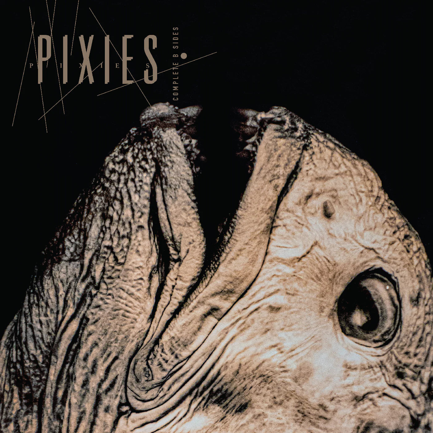 Pixies - Complete B Sides: 1988-97 (2CD) (New CD)