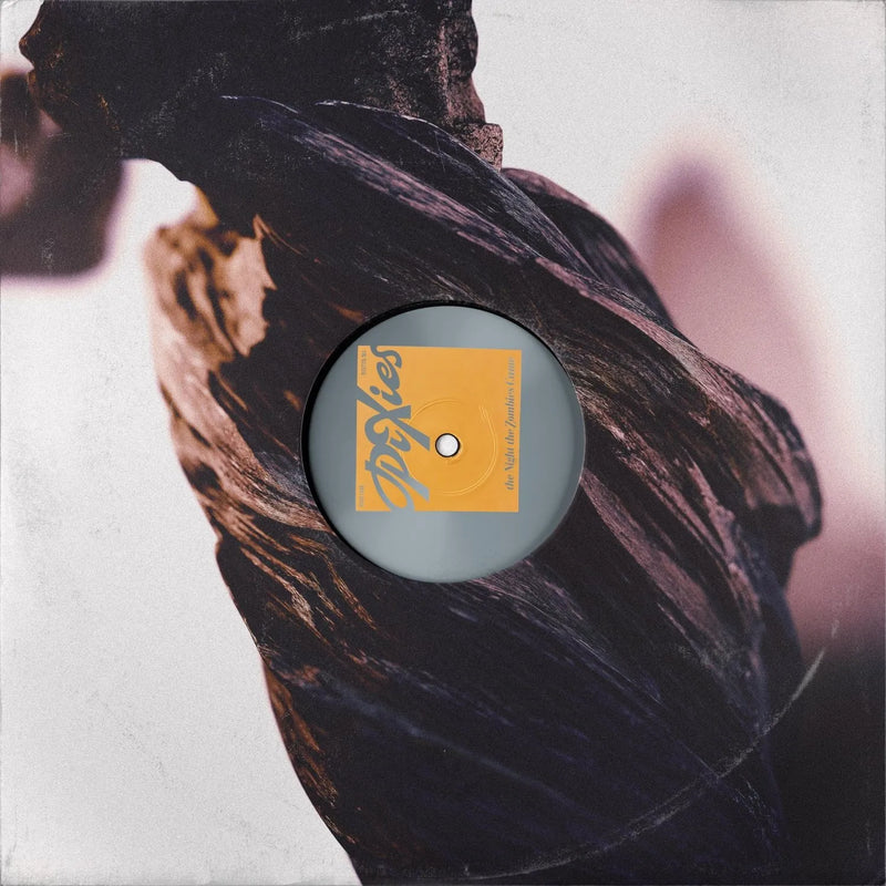 Pixies - The Night The Zombies Came (Colour Vinyl) (New Vinyl)