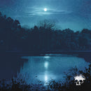 Planes Mistaken For Stars - Do You Still Love Me? (New Vinyl)