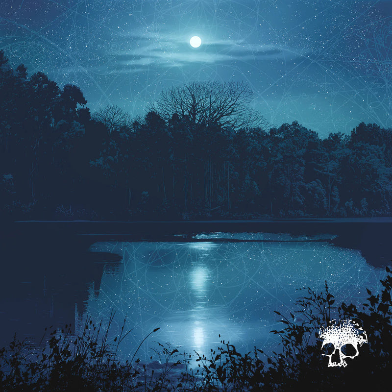 Planes Mistaken For Stars - Do You Still Love Me? (New Vinyl)