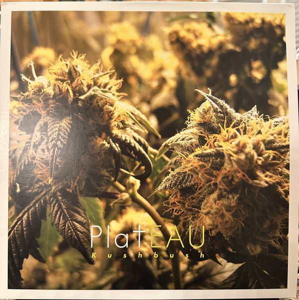 Plateau - Kushbush (New Vinyl)
