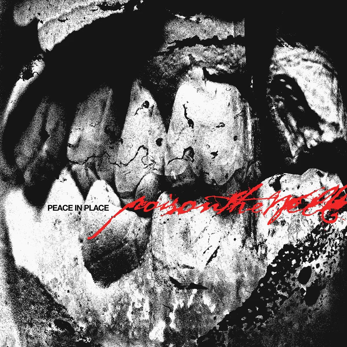 Poison The Well - Peace In Place (New CD)