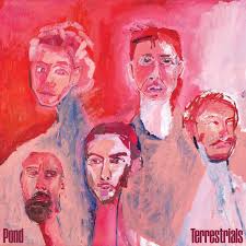 Pond - Terrestrials (New CD)