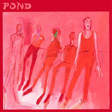 Pond - Terrestrials (Seabird Blue Vinyl) (New Vinyl)