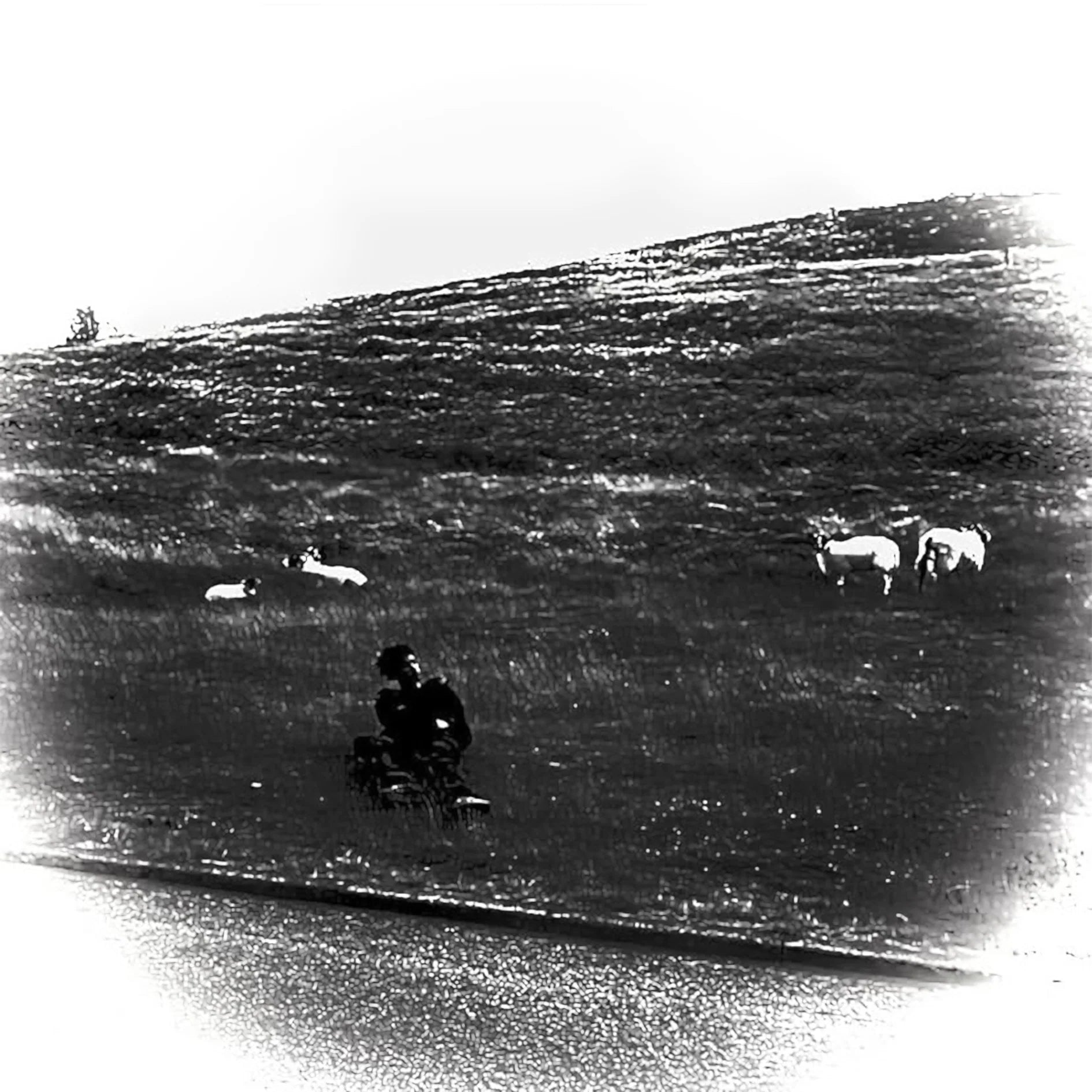 Pretty V - Destiny Of Illusion (New Cassette)